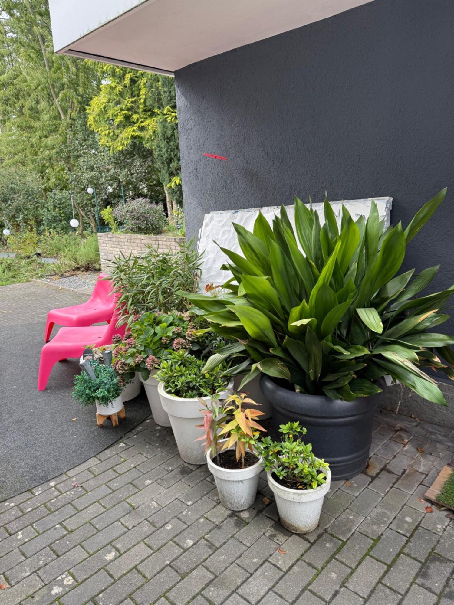 Modernes 1 Zimmerapartment Nahe Frankfurt Am Main Heusenstamm Exteriör bild